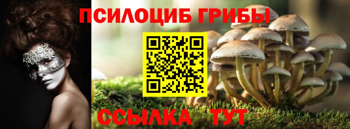 Псилоцибиновые грибы ЛСД  Галлюциногенные грибы Cubensis  Ковров  Вход с VPN 